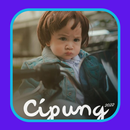 APK Cipung Sticker Wallpaper