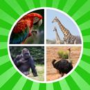 Apprendre les noms d'animaux APK