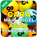 Cara Jitu Main Togel Selalu Menang APK