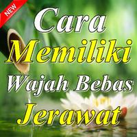 Cara Memiliki Wajah Bebas Jerawat poster