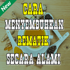 Cara Menyembuhkan Rematik Secara Alami আইকন