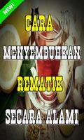 Cara Menyembuhkan Rematik Secara Alami স্ক্রিনশট 1