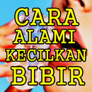 Cara Mengecilkan Bibir Secara Alami Paling Ampuh APK