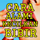Cara Mengecilkan Bibir Secara Alami Paling Ampuh أيقونة