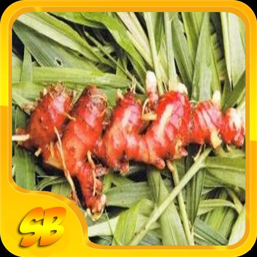 101 Gambar Babi Panggang Merah Paling Keren 101 Gambar Babi Panggang Merah Paling Keren