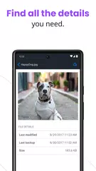 Carbonite Mobile APK 下載