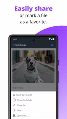Carbonite Mobile APK 下載