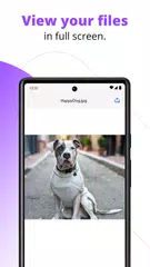 Carbonite Mobile APK 下載