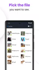 Carbonite Mobile APK 下載