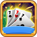 29 Card Kings Game APK