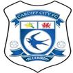 CARDIFF FIXED DRAWS