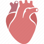 CardioApp Beta - Кардиология ikon