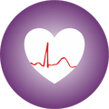 Plexus Connect