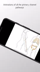 Скачать A Manual of Acupuncture APK