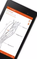 Скачать A Manual of Acupuncture APK