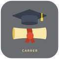 Career