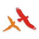 AnyExam-APK