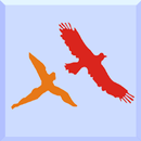 Learno-KV APK