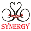 ”Synergy