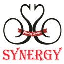 Synergy APK