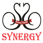 Synergy ícone