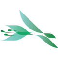 Cargo Flowers