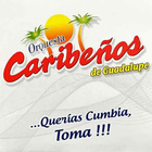 Caribeños de Guadalupe ไอคอน