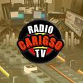 CARIGSO RADIO Y TV