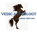 Vedic Astrology APK