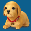 My Perfect Puppy