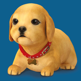 My Perfect Puppy biểu tượng