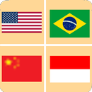 Guess the World Flags APK