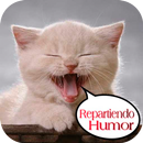 imagenes graciosas APK