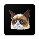 Cool Cats Stickers for WhatsApp (WAStickerApps) APK