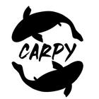 Carpy-App icône