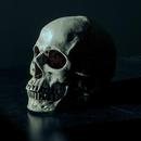 Skull Anatomy Horror Wallpapers HD and Backgrounds aplikacja