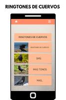 Ringtones de cuervos, tonos y sonidos de cuervos-poster
