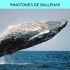 Ringtones de ballenas, tonos y sonidos de ballenas icône