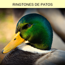 ringtones de patos, tonos y sonidos de patos APK