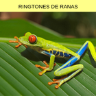 ringtones de ranas, tonos y so أيقونة