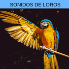 sonidos de loros, tonos, Ringtones de loros gratis icône