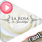 videos la rosa de guadalupe capitulos completos иконка