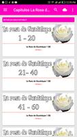 Poster videos la rosa de guadalupe capitulos completos