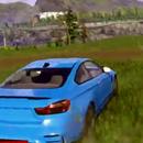 CarX Street Racing W Guide APK