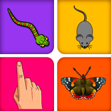 Laser pointer for cats