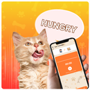 Cat Translator Simulator App APK