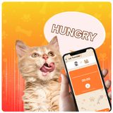 Cat Translator Simulator App