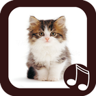 Cat Meow Real Sounds icon