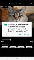 Cat Meow Real Sounds capture d'écran 2