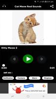 Cat Meow Real Sounds syot layar 3